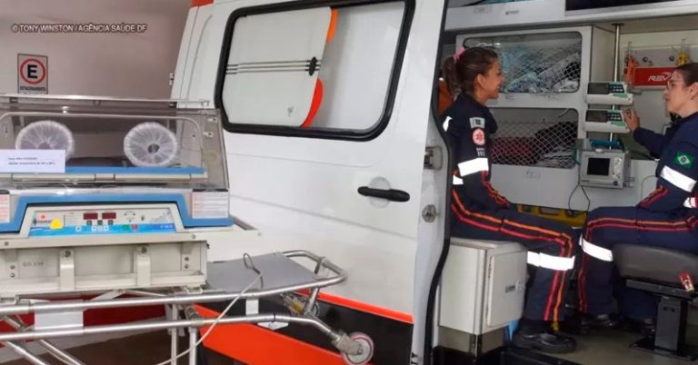 acima de tudo, é preciso respeito à vida