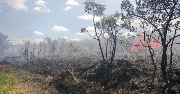 o que as tragédias nos ensinam